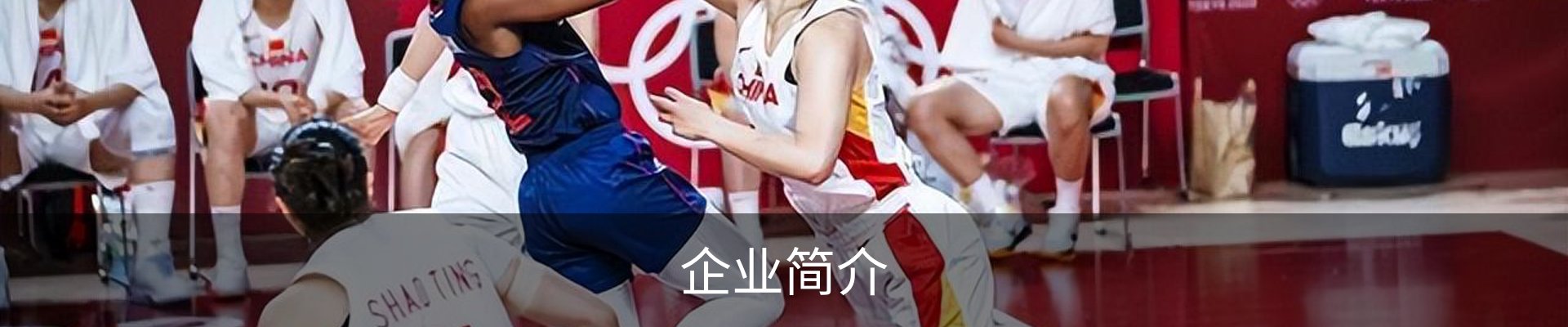 企业简介